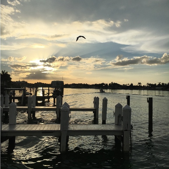 Meet your Posher, Ellie - Picture 1 of 1